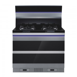 丽江集成灶环保与节能科技开发 引领绿色厨房新潮流